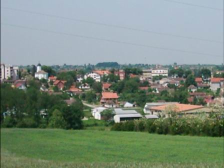 Vladimirci