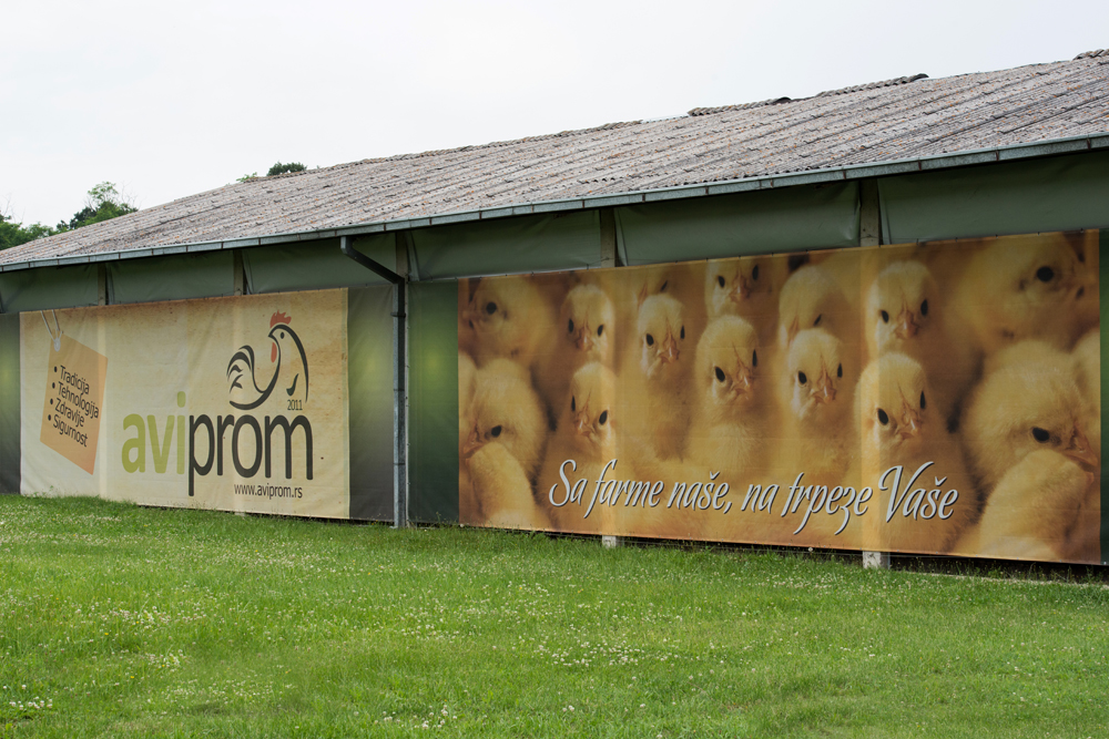 Farma brojlera Aviprom 2011 doo Kraljevo proizvodnja pilećeg mesa