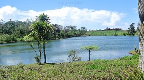 bois_cheri_tea_plantation_mauritius_photo_by_ira_petrov