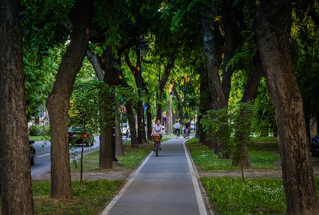 biciklisticka_staza_apatinski_put_sombor biciklisticka_staza_apatinski_put_sombor