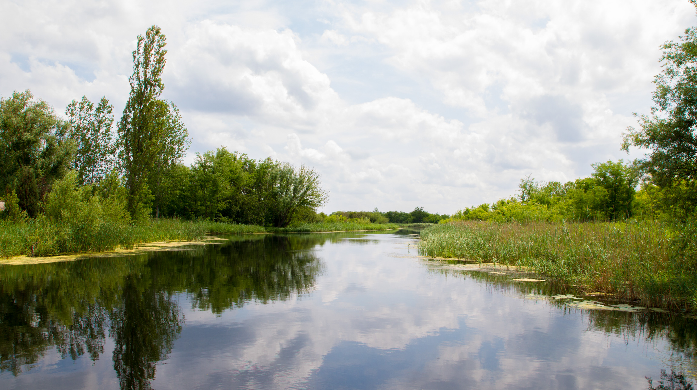 conopljansko_jezero_conoplja_sombor conopljansko_jezero_conoplja_sombor