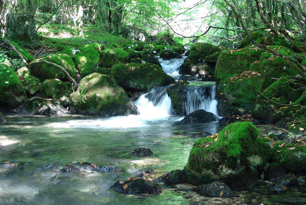 Centar za selo Banja Luka