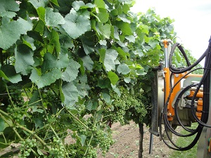 defolijator