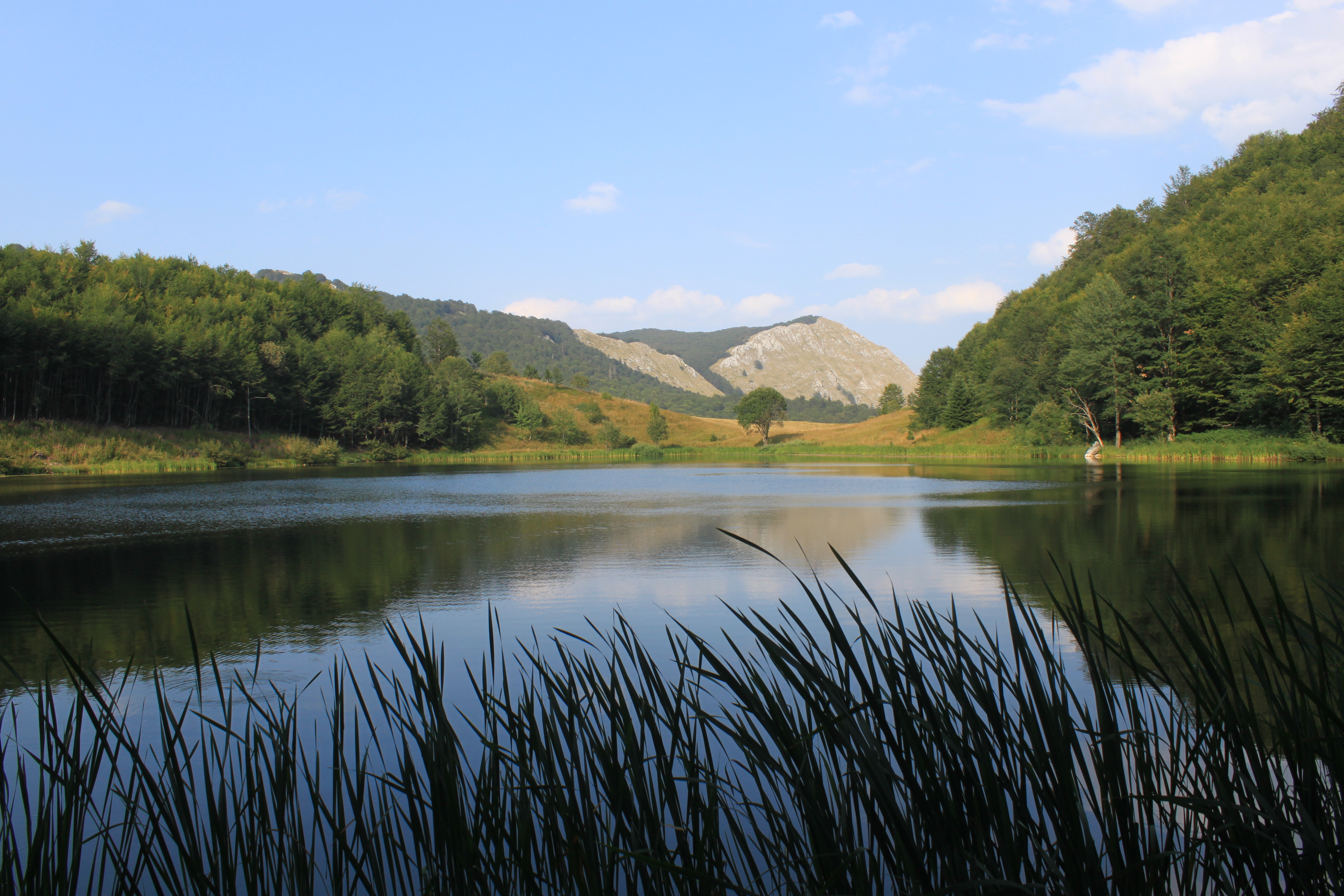 donje_bare_nacionalni_park_sutjeska
