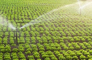 fertigacija_anhidrovanim_amonijakom_agrisol_sol_srbija
