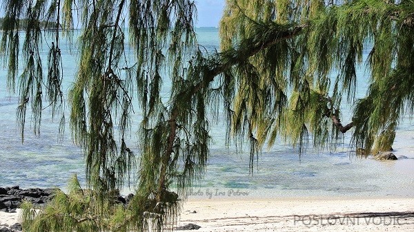 ile_aux_cerfs_mauritius_photo_by_ira_petrov