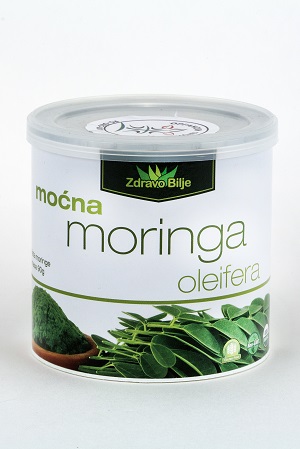 moringa_oleifera_u_prahu_zdravo_bilje