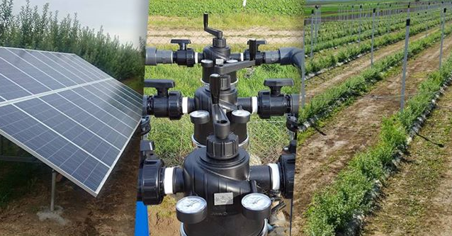 oprema_i_projektovanje_vocnjaka_ciak_agro