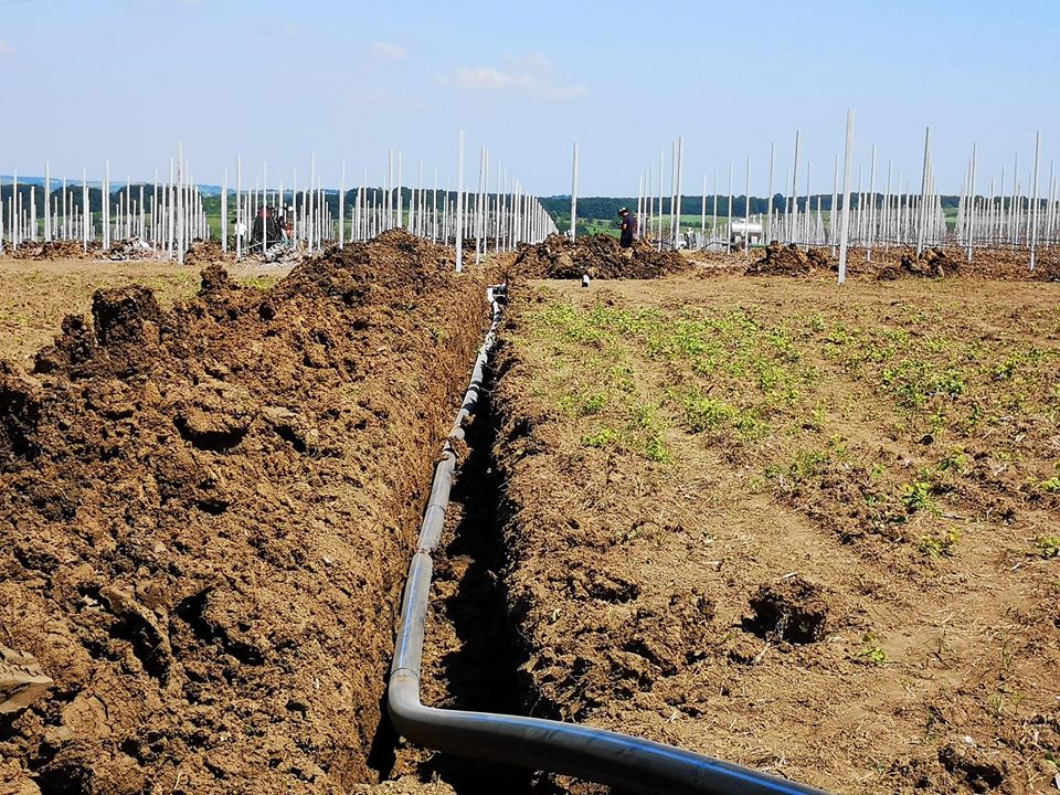 postavljanje sistema za navodnjavanje ciak agro postavljanje_sistema_za_navodnjavanje_ciak_agro