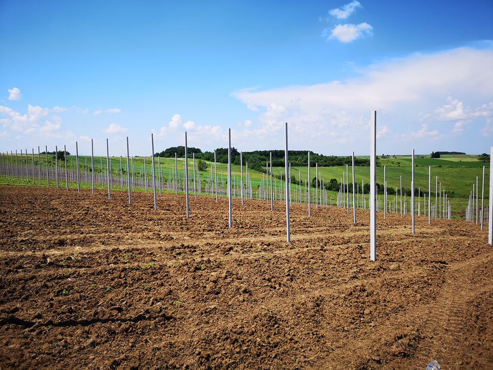 projektovanje vocnjaka ciak agro projektovanje_vocnjaka_ciak_agro