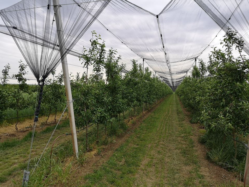 protivgradne mreze ciak agro protivgradne_mreze_ciak_agro