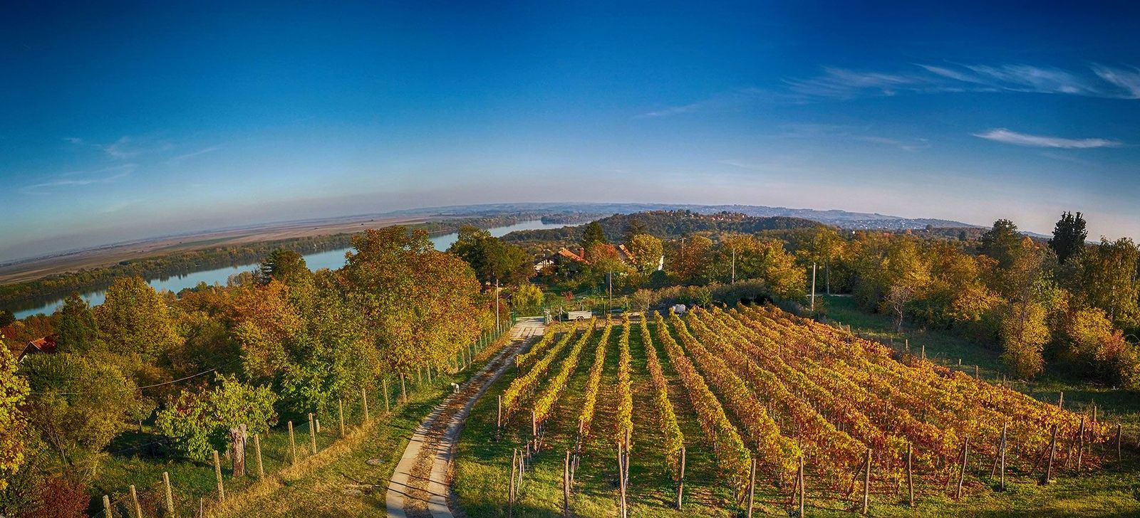 vinarija_plavinci_paorama_jesen