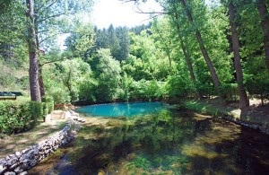 vrelo_mlave