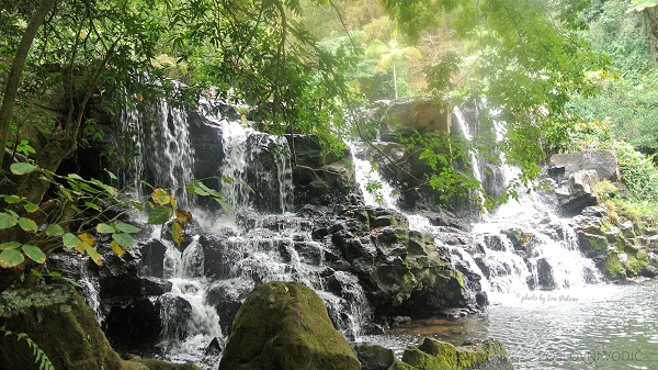 waterfall_ravin_moka_mauritius_photo_by_ira_petrov
