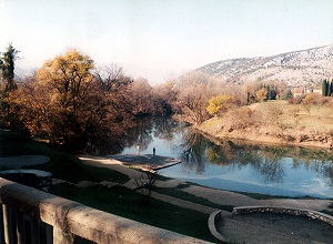 zeta-danilovgrad