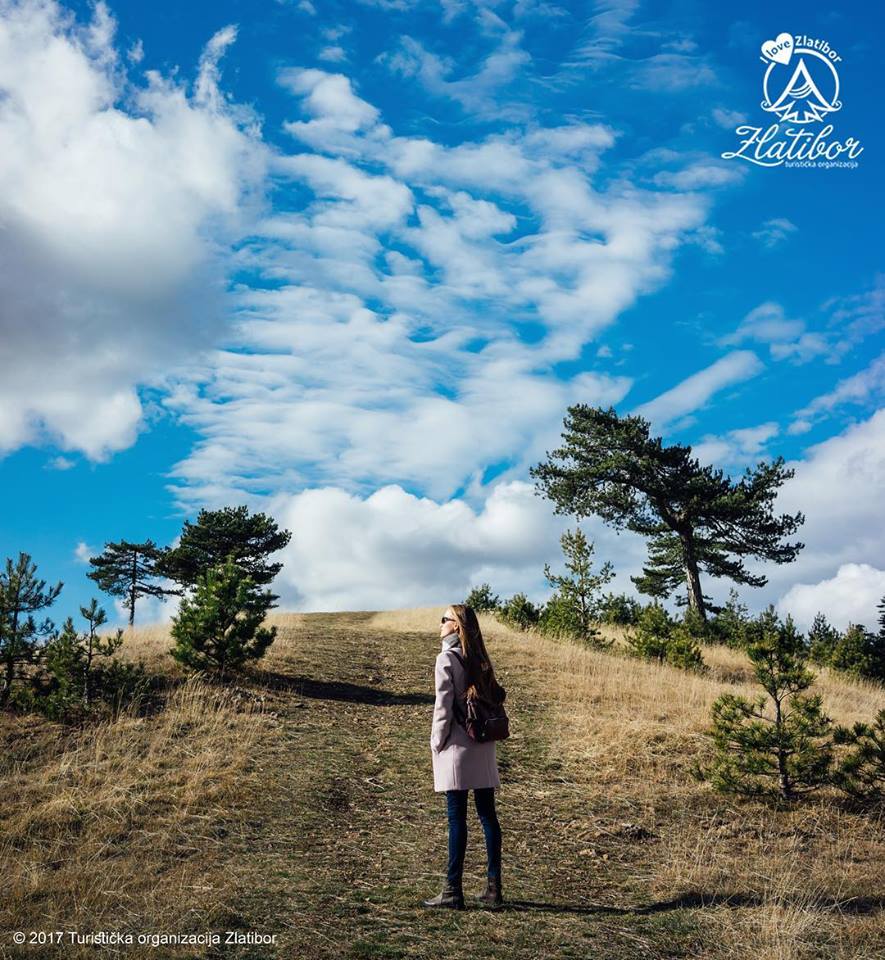 zlatibor_pejzaz_leto