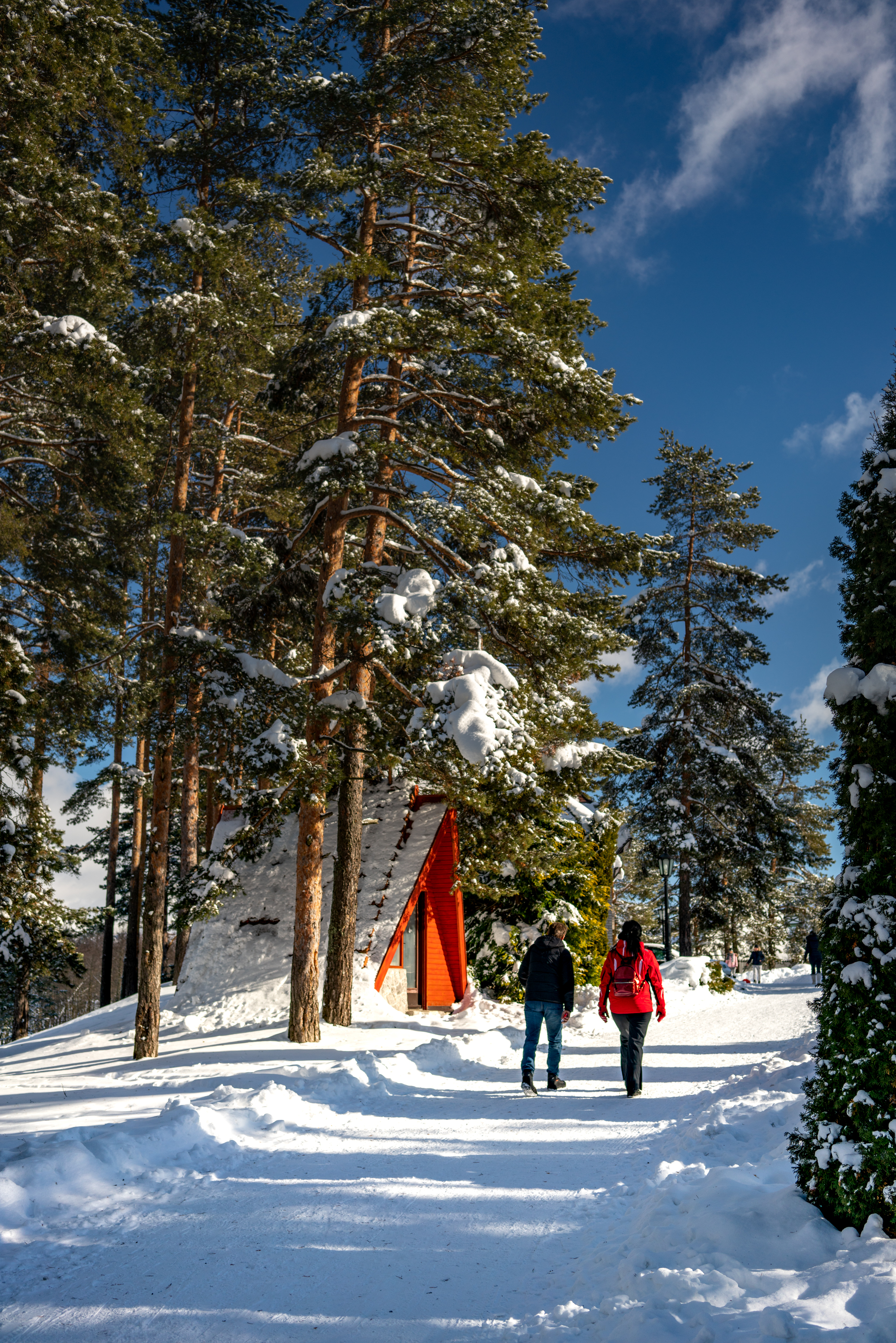 zlatibor_pejzaz_zima