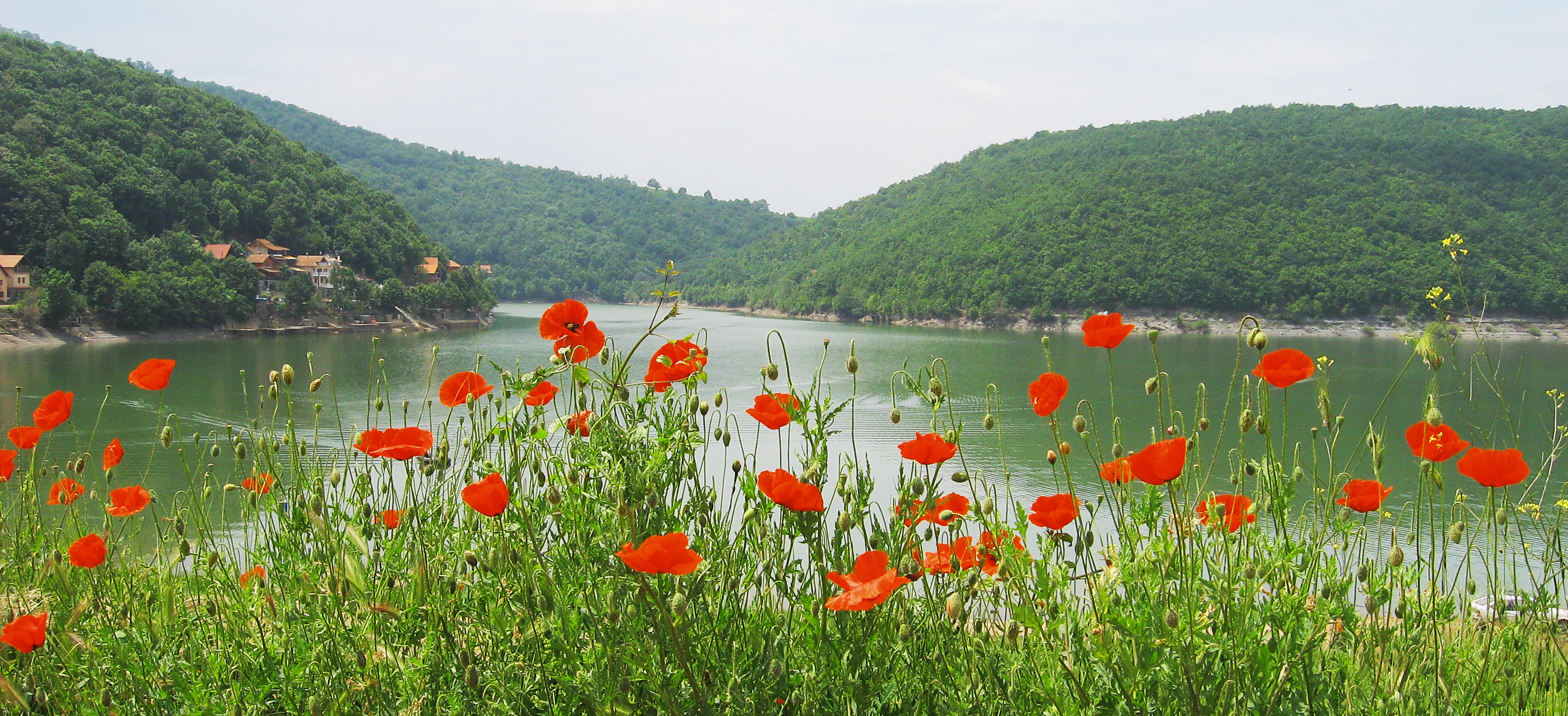 prirodne_lepote_aleksinca