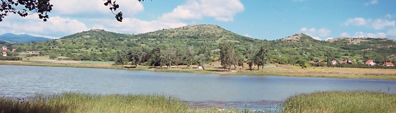 OPŠTINA MEROŠINA | Opštinska uprava | Oblačinska višnja | Dani višnje