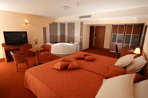 apartman_u_hotelu_kaktus apartman_u_hotelu_kaktus