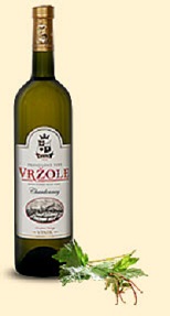 belo_vino_beli_vrzole_vinarija_vinik belo_vino_beli_vrzole_vinarija_vinik