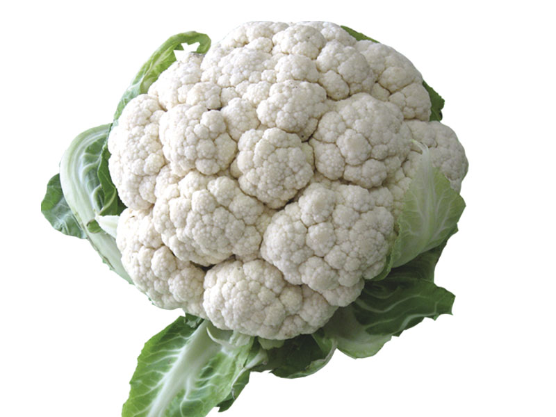 Elixir Food doo Šabac karfiol cauliflower