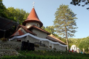 manastir_radovasnica