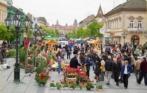 medjunarodni_festival_cveca_sombor medjunarodni_festival_cveca_sombor