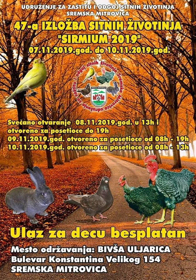 plakat_47_izlozba_sitnih_zivotinja_sirmium_2019_sremska_mitrovica