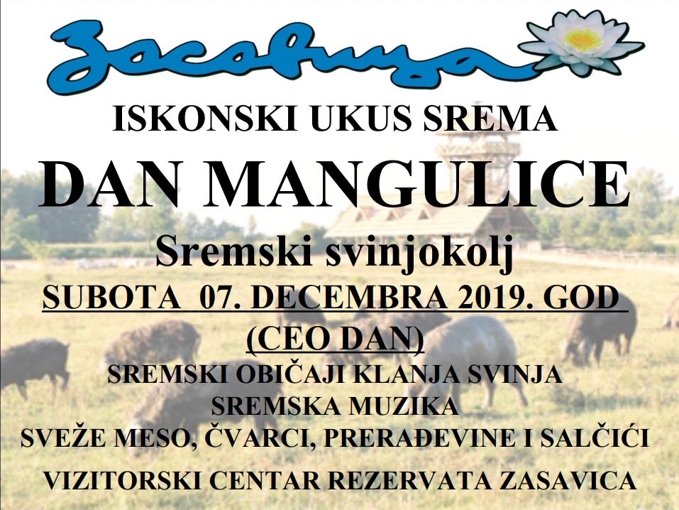 plakat_dan_mangulice_2019_zasavica plakat_dan_mangulice_2019_zasavica