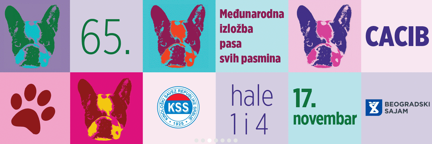 plakat_medjunarodna_izlozba_pasa_svih_pasmina_2019_beograd