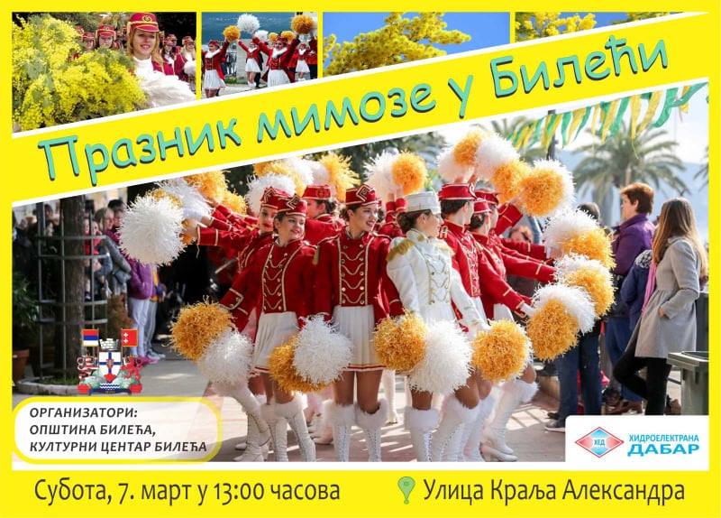 plakat_praznik_mimoze_2020_bileca plakat_praznik_mimoze_2020_bileca