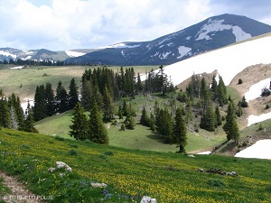 planina-bjelasica-bijelo-polje planina-bjelasica-bijelo-polje