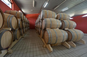 vinarija_piano vinarija_piano