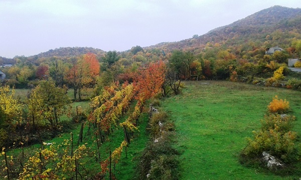 vinogradi_ispod_brda_busovnik_vinarija_drazevina vinogradi_ispod_brda_busovnik_vinarija_drazevina