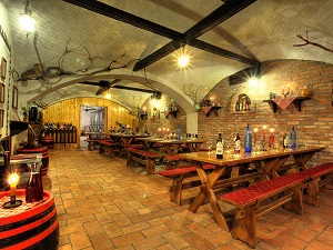 vinski_podrum_za_degustacije_vina_porodicna_vinarija_vinik_vrsac