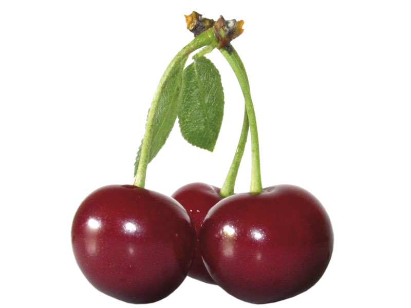 Elixir Food doo Šabac Višnja Cherry