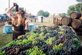 vinofest-vrsac vinofest-vrsac