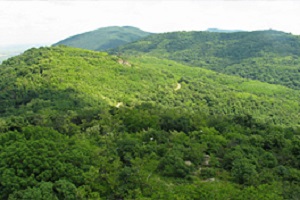 vrsacki-breg-vrsac vrsacki-breg-vrsac