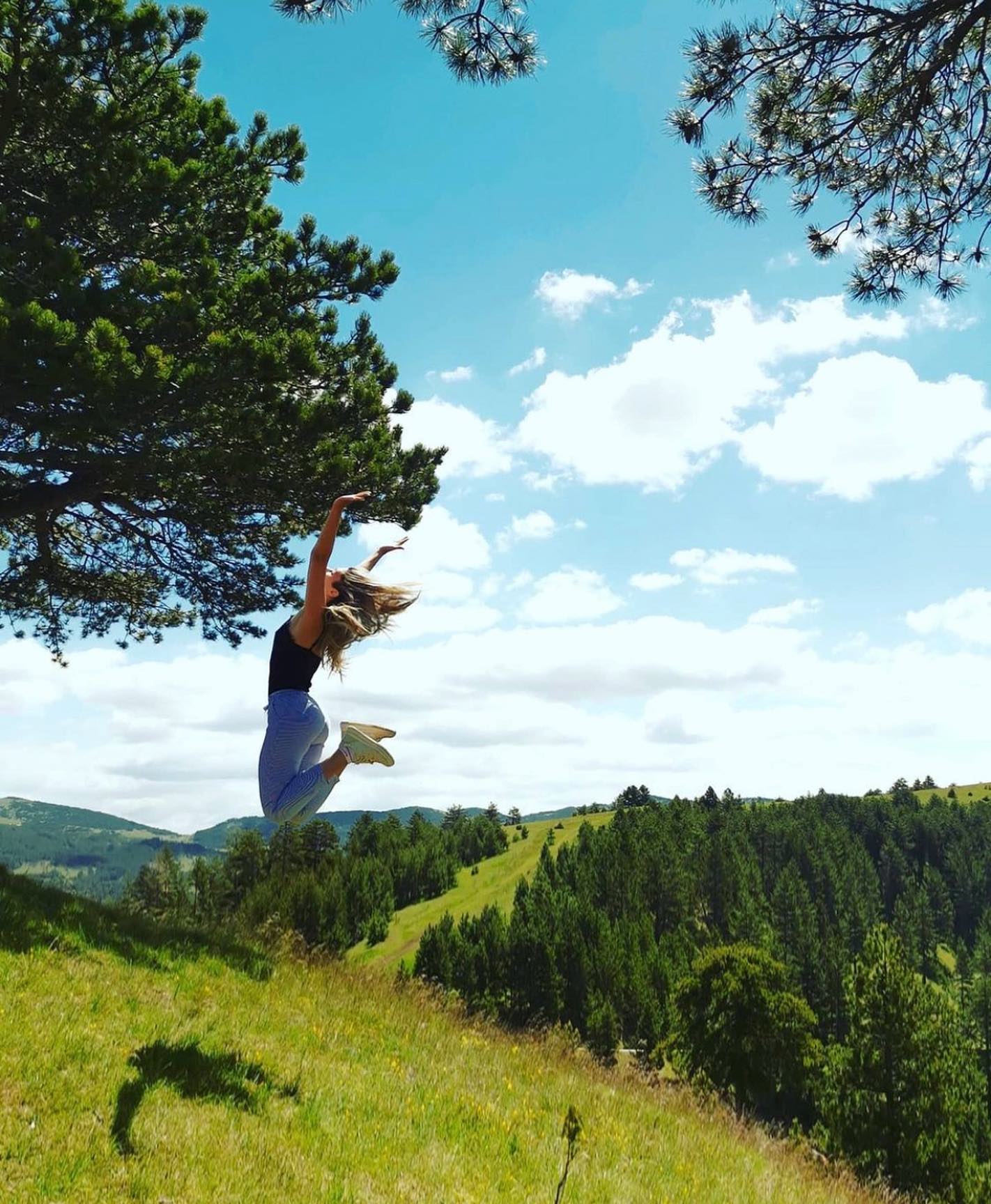zlatibor